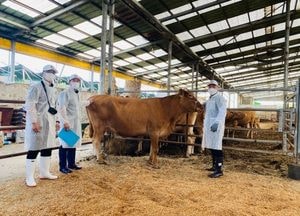 ‘경기도 최고의 한우를 가린다’ 제57회 경기도 한우경진대회 오는 9월 개최...내달 3일까지 출품축 접수