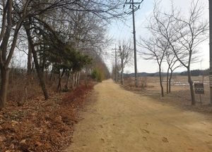 안산갈대습지, 오후 10시까지 개방 시간 연장…시민 요구 반영