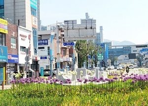 양평군, 회전교차로 15곳에 꽃단장…경관 개선 ‘눈길’