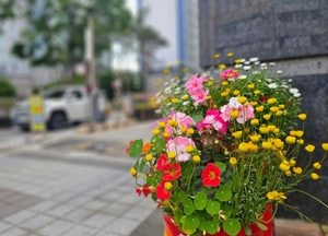 입주민 반기는 형형색색 꽃