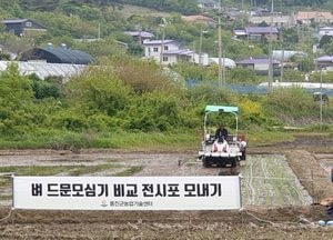 인천 옹진군, 드문모심기 비교 전시포 운영…벼농사 생산비 절감 기대