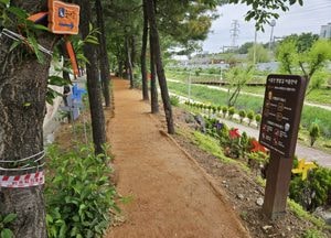 시흥천 제방 따라 ‘황톳길 맨발길’ 개방…세족장·신발장 등 편의시설