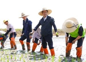 “가와지볍씨 정신 담아 농업 미래 연다” 고양특례시, 가와지1호 모내기 행사 열어...명품 브랜드 쌀 육성 박차