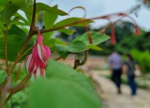 [다음주 날씨] 수도권 29~6월4일…대선투표일 흐려