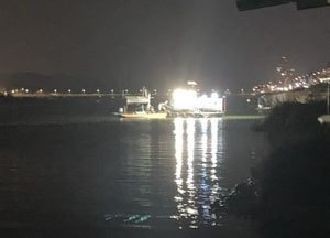 여주시, 동양하루살이 퇴치 야간 방역 본격 가동...민·관 협업으로 방제 효율 극대화