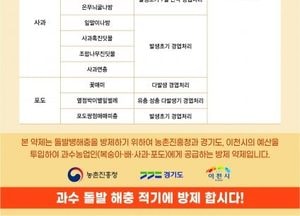 이천시, 과수 돌발해충 방제 약제 지원...복숭아·사과 등 695ha·925호 농가 대상