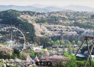 용인특례시, 내달 16~19일 ‘장애인 행복주간’ 운영...에버랜드·한국민속촌 무료 개방