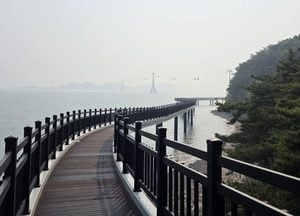화성특례시 ‘전곡항 층상응회암 해상관찰로’ 30일 개통...531m 해상 데크 따라 지질 명소 체험