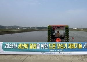 평택시, 벼 드문모심기 재배 기술 현장 연시회 열어...노동력 절감·친환경 농업 기대