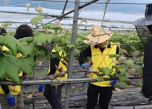 포천·의정부도시공사, 농촌 살리기 맞손…공공기관 협업 모범사례