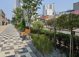 인천 미추홀구, 인주대로·매소홀로에 도시 바람길 숲 조성…시민 휴식공간 확보