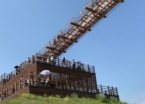 [사진으로 봤다] 자연 속에서 만나는 꽃 축제, 포천 한탄강 가든페스타!