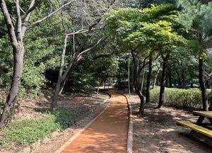 도심 속 맨발 힐링길, 광명시에 3곳 추가 조성