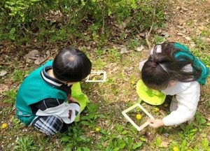 인천 미추홀구, 수봉공원서 ‘유아 숲 체험’ 프로그램 운영