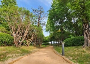 여주 오학동 한글마당에 맨발길 조성…6월말까지 완료