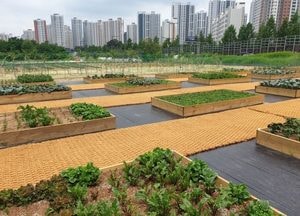의정부시 ‘민락 힐링 텃밭정원’ 13일 개방…도시 속 녹색 쉼터 탄생