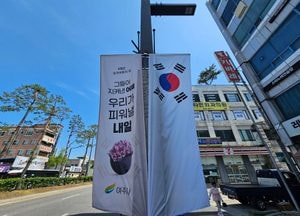 '호국보훈의 달' 알리는 거리 배너