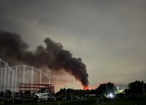 양평 돈사서 야간 화재…돼지 300여 마리 폐사