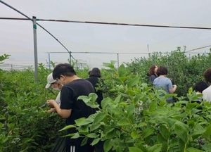 고양특례시, 비장애 형제·자매 ‘오, 놀토데이’ 운영...매주 토요일 체험 중심 프로그램 진행