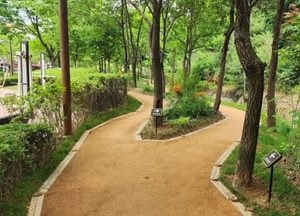 안양시, 동편마을에 ‘맨발치유정원’ 조성...최대호 시장 “치유형 녹색 공간 확대”