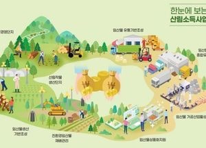 양주시, 산림소득 지원사업 신청 접수…임업인 소득·품질 향상 기대