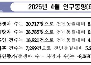 출생아 늘고 이혼 줄고…자연증가는 여전히 ‘마이너스’