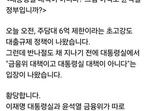“대통령실 대책 아니다?”…주담대 6억 제한 두고 국정 혼선
