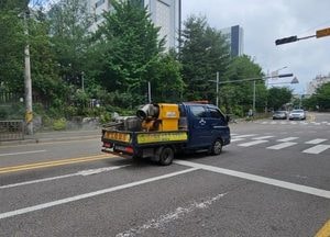 인천 남동구, 러브버그 대량 발생에 야간·주말 특별 방역…주민 불편 최소화 총력