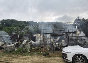 양평 주거용비닐하우스서 새벽 화재, 남성 1명 부상