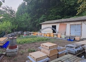 용인특례시, 장마철 대비 축사시설 안전관리 총력...이상일 시장 “피해 예방·신속 대응 최선”