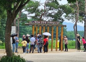 관광도 하고 건강도 챙기고, 양평 두물머리