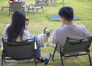 [기획] “사랑하는 반려동물과 함께 떠나요” 경기관광공사, 자연·레저·예술 갖춘 여행지 6곳 추천
