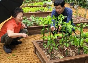 양주시 ‘아파트 쌈지텃밭’ 10곳 조성…세대 잇는 도시형 힐링 공간 호응
