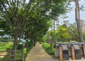 평택 바람길숲, 산림청 ‘산책하기 좋은 도시숲 10선’ 올라...경기도 유일 선정
