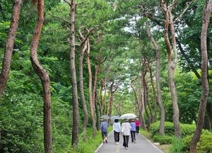 [내일 날씨] 경기·인천(8일, 화)...'3~4도 껑충' 가마솥더위, 오후 천둥·번개 동반 소나기 소식