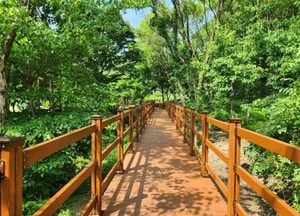 용인특례시, 용인자연휴양림 새 단장...숙소 리모델링·야외시설 정비 완료