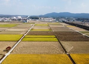 개인 기준 상위 10%가 전체 토지의 78.4% 소유