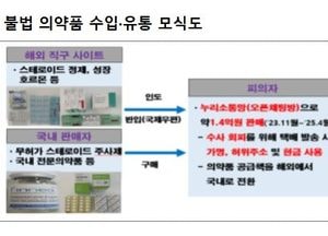“병 주고 약 팔았다”…SNS 통해 스테로이드·간기능 개선제까지 불법 판매 적발