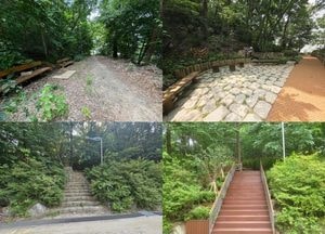 안양시, 수리산 골안공원 ‘생태공원’으로 탈바꿈...청개구리 서식처·생태교육공간 조성