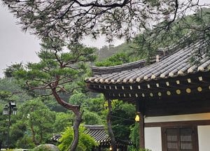 [내일 날씨] 경기·인천(20일, 일)...초복 무더위 본격 시작, 낮 최고 33도