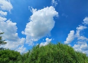 [내일 날씨] 경기·인천(21일, 월)...소나기 동반, 무더위 계속