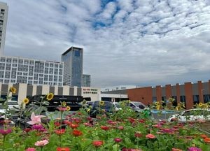 인천 연수구, 제2청사 옆 ‘연못가 벤치’ 조성…도심 속 녹색 쉼터로 탈바꿈