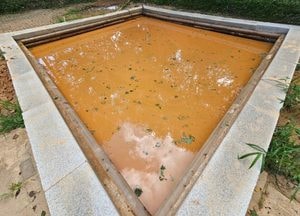 1년 중 가장 더운 시기, 절기상 ‘대서(大暑)’