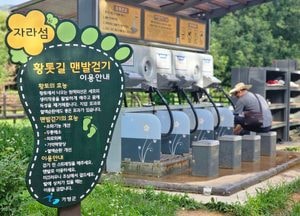 수도권 전역에 폭염특보, 서울·인천 ‘주의보’…안성·여주 ‘경보’ 격상