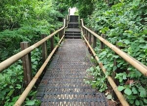 인천 남동구, 오봉산·소래산 등 주요 등산로 노후 시설 정비 완료