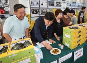 인천 옹진군, 면역력 챙기는 ‘옹진자연 단호박’ 직거래 행사 열어