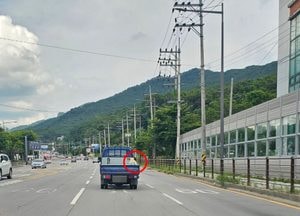 남양주서 트럭 적재함 개 추락...줄 없이 고속 주행, 안전조치 전무
