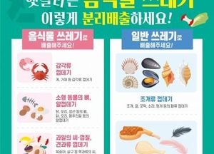 안성시, 음식물 쓰레기 분류 기준 개정...갑각류 껍데기·과일 씨·채소 껍질 배출 가능
