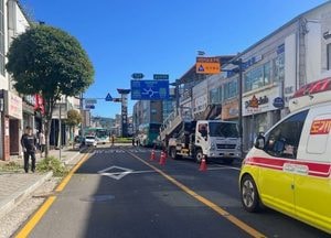 안성서 가로수 전지작업 중 추락사고...60대 작업자 2명 중상