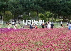 양주시, 나리농원 9월 정기 개장…입장료 환급으로 지역 상생 강화